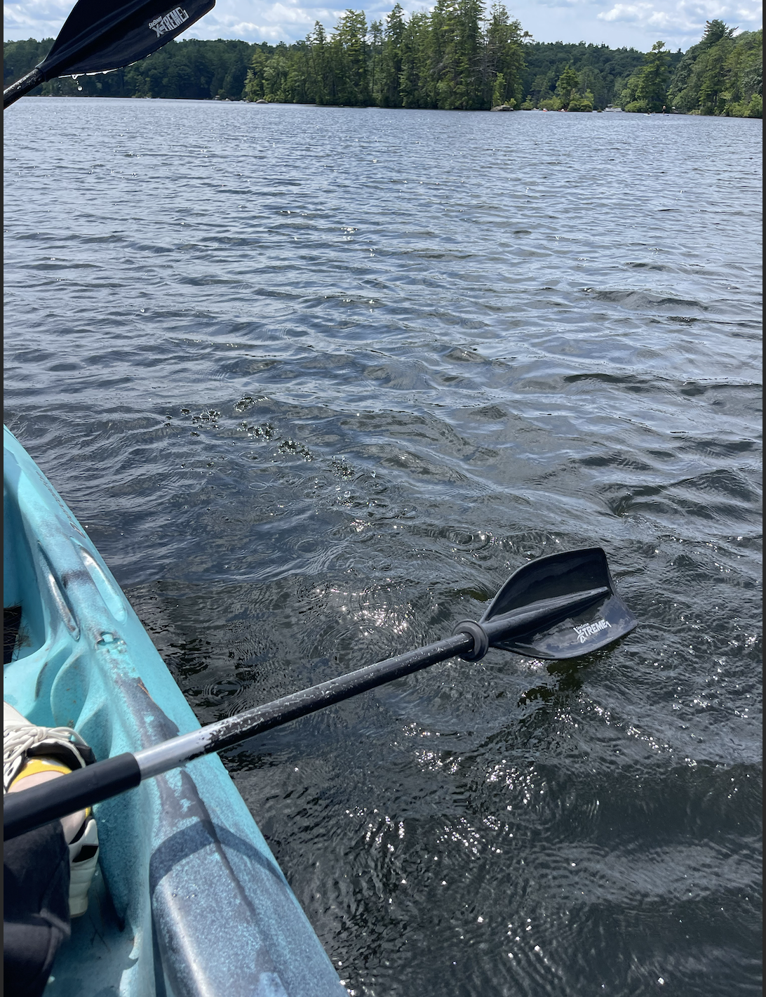 Kayak Picture