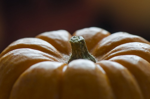 closeup of pumpkin