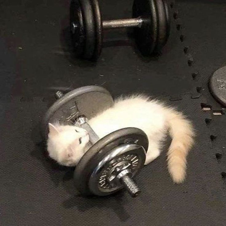 Working Out