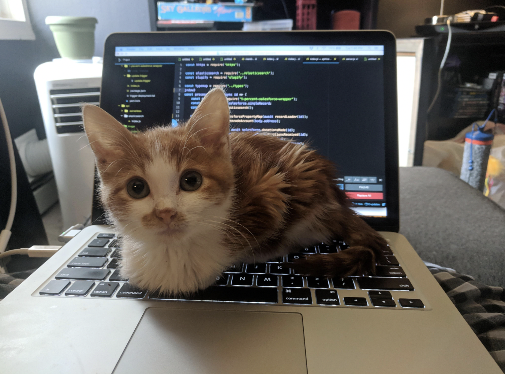 Programming