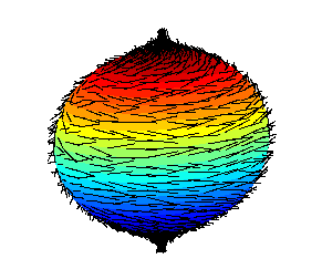 hairy_sphere.png