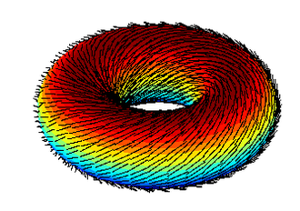 hairy_torus.png