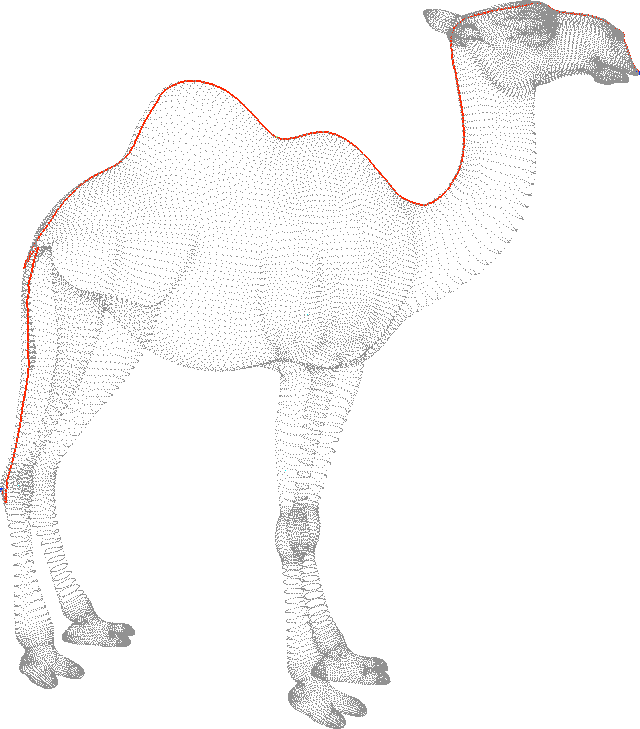 camel_cut1.png