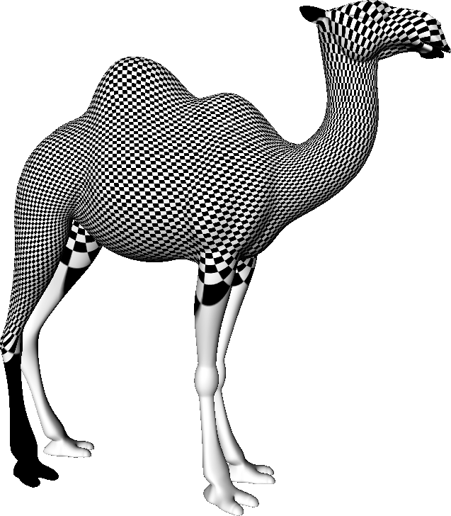 camel_texture1.png