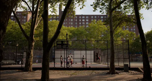 Pickup Basketball Queens