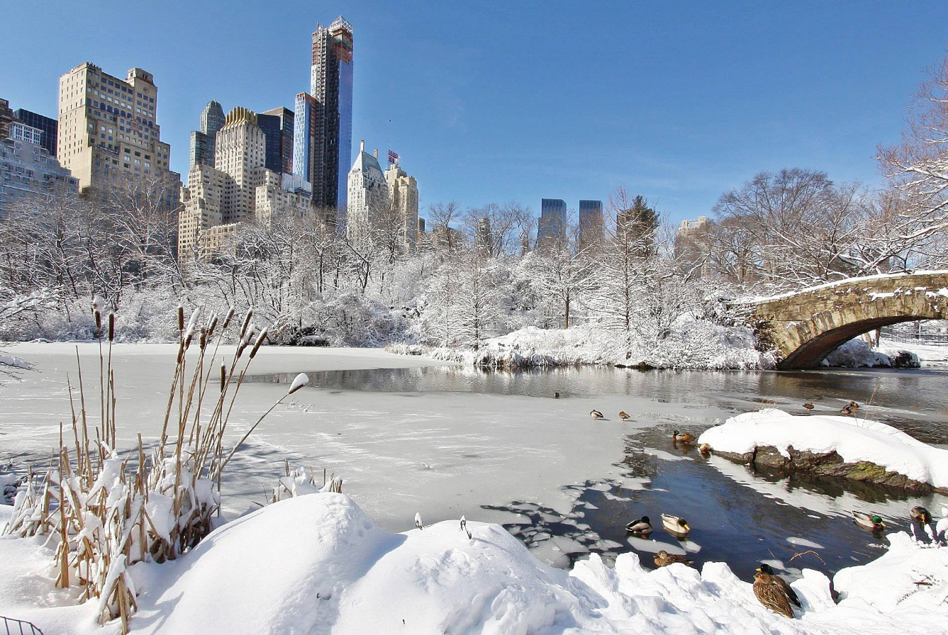 A beautiful park in New York City