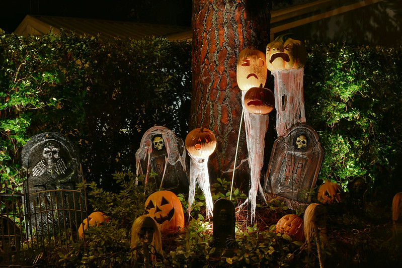 A variety of Halloween decorations