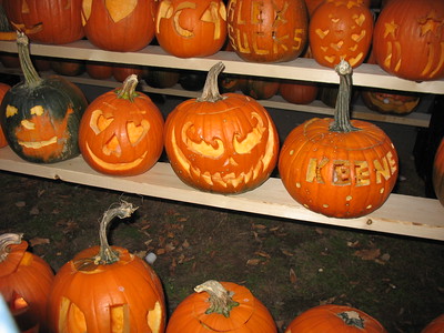 Multiple rows of carved halloween themed pumpkins