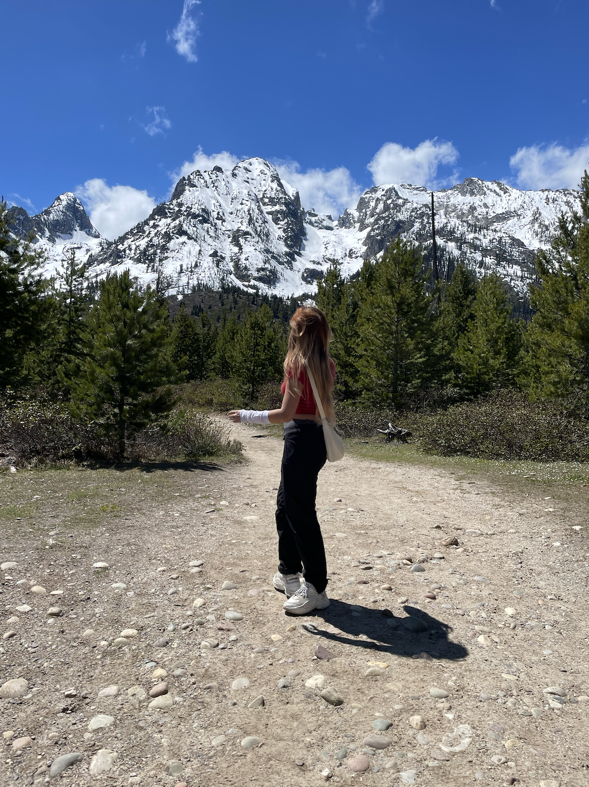 person standing facing away from cam with mountainous landscape