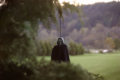 a person standing behind a tree with a ghost mask and black cape