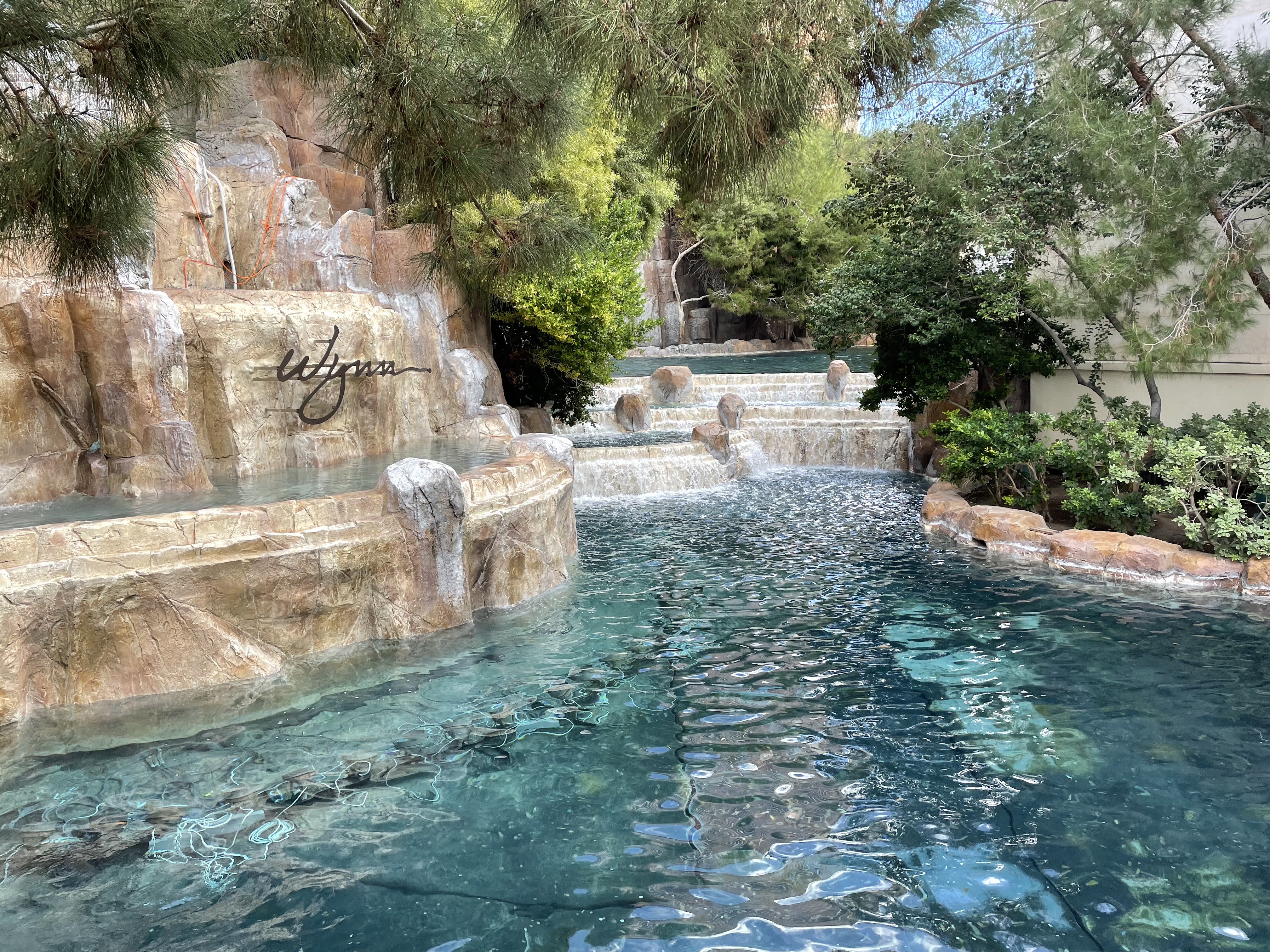 Pool at the Wynn