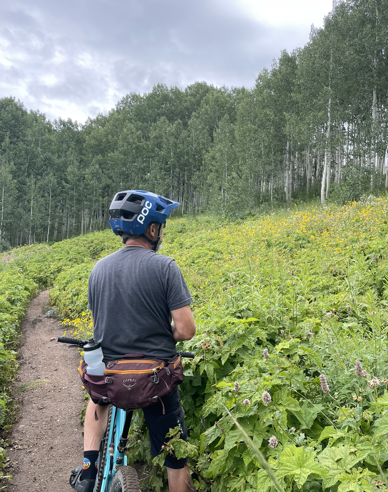 Photo of My Dad Biking