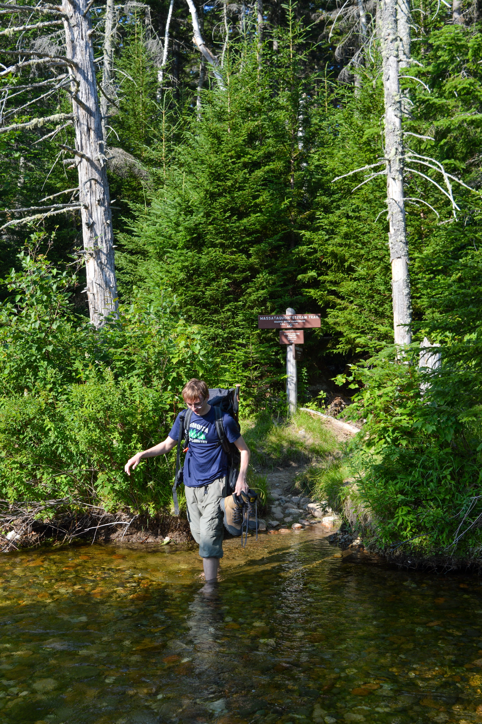 Picture of Hiking