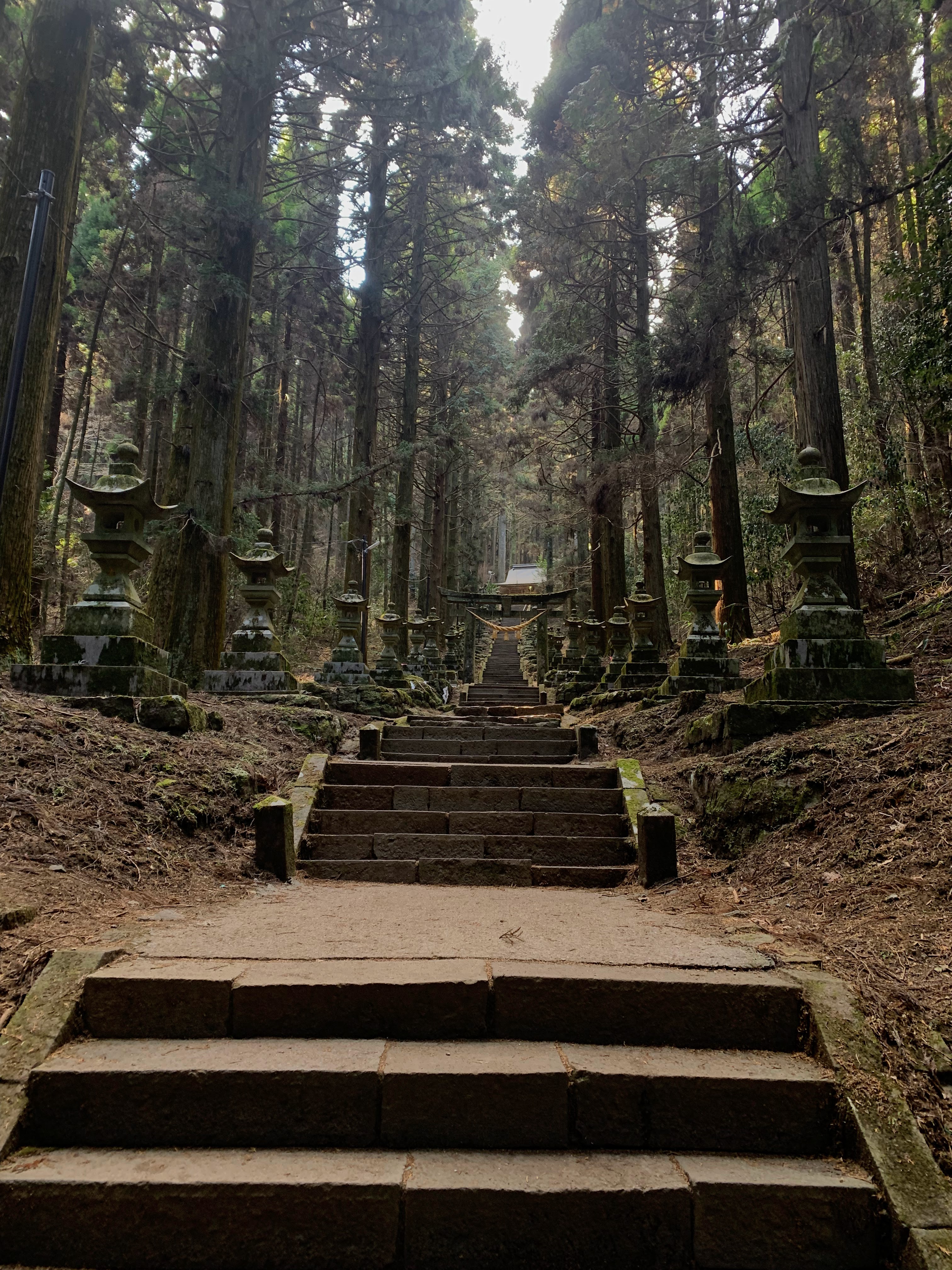 Biking to Shrines