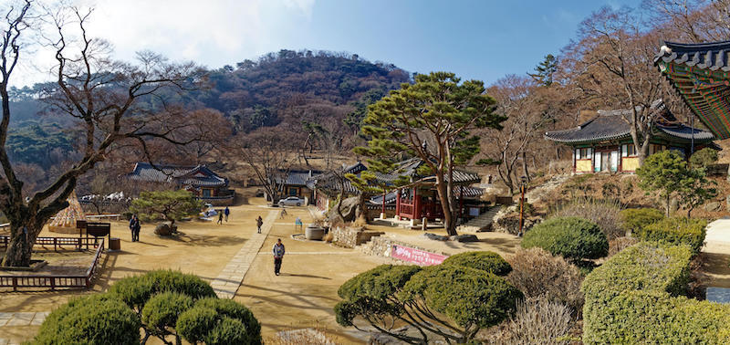 Springtime landscape picture of a Korean temple courtyard