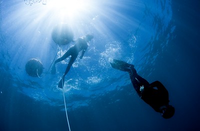 image of freedive